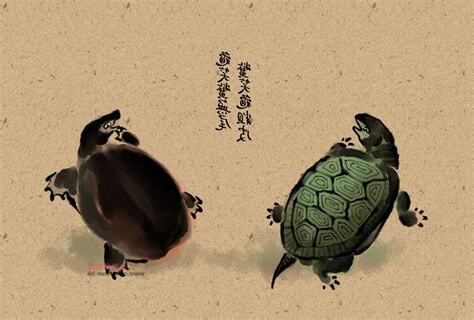 龜笑鱉無尾 鱉笑龜腳短